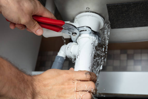 Best Carpet water damage restoration  in South Venice, FL