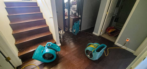 Best Residential water damage restoration  in South Venice, FL