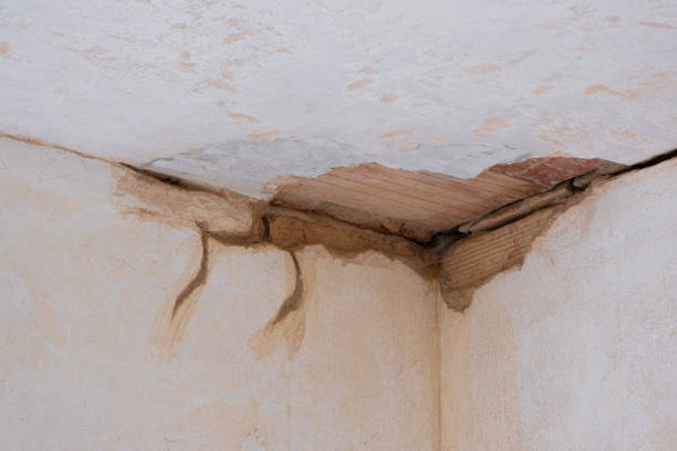 Best Water damage mitigation services  in South Venice, FL