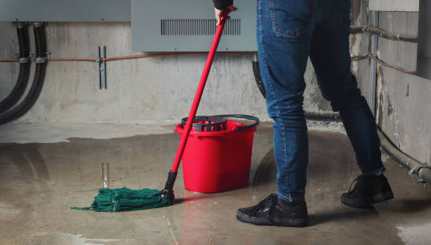 Best Flooded house restoration  in South Venice, FL