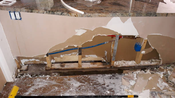 Best Mold removal after water damage  in South Venice, FL