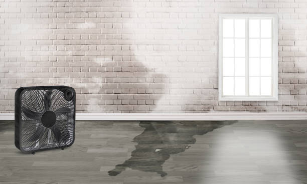 Best Flooded house restoration  in South Venice, FL