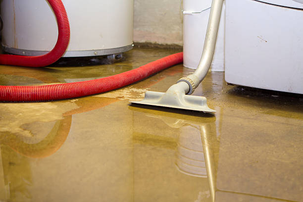 Best Flood damage cleanup  in South Venice, FL