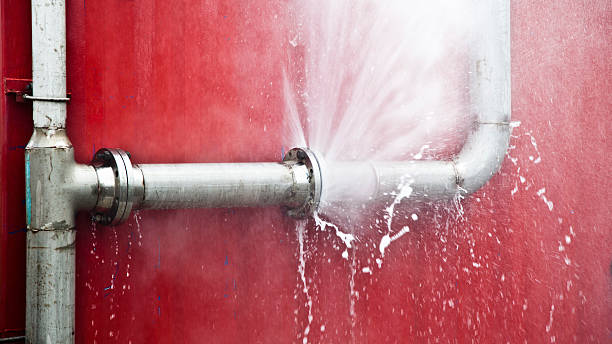 Best Water damage cleanup near me  in South Venice, FL